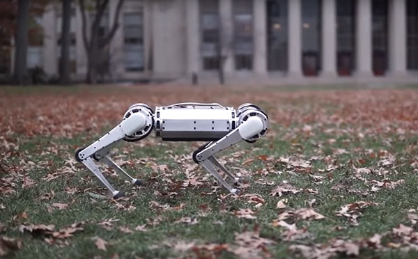 robot-gepard.jpg