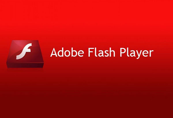 Microsoft-Flash-Player--aut.jpg
