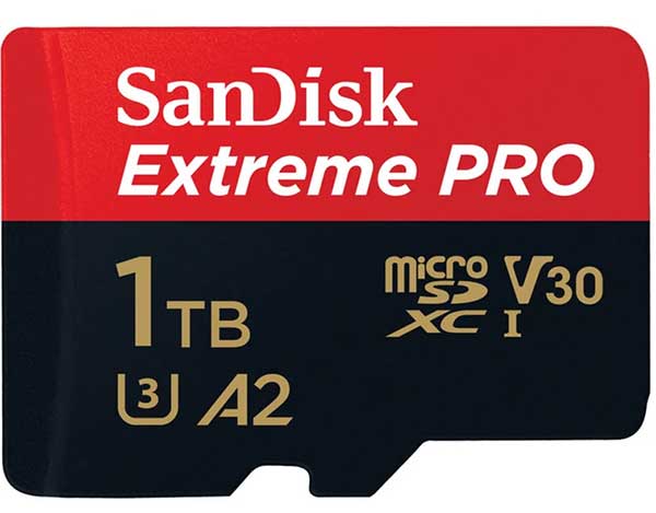 microSD-SanDisk-1tb.jpg